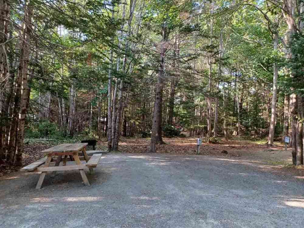 Bar Harbor Campground Bar Harbor Campground