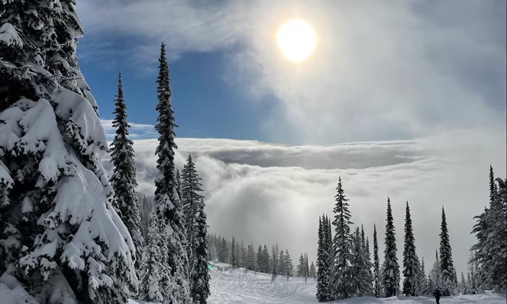 Multiple Campgrounds in Whitefish, Montana