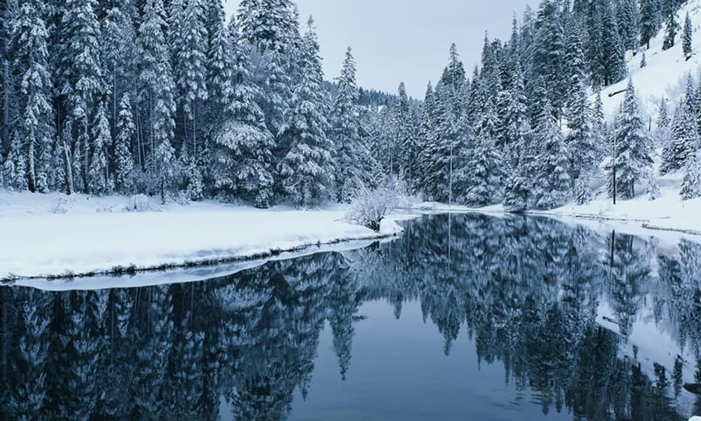 Tahoe Valley Campground, Lake Tahoe in California